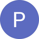 Patrick Schur Avatar