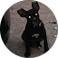 Kevin Ellis Avatar